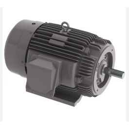 TECO-Westinghouse NP0024 2HP Motor 1800 RPM 230/460V