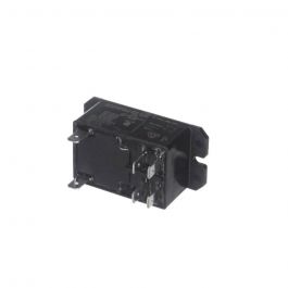 Rheem-Ruud PD425162 2-Pole Relay