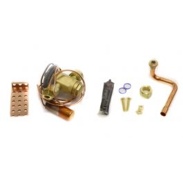Rheem-Ruud PD619079 Expansion Valve