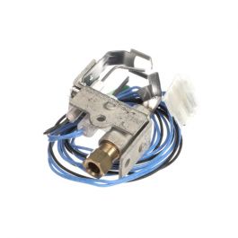 York S1-Q3450C1029 Pilot Burner Assembly W/Ignitor