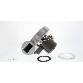 Rheem-Ruud SP20924 Advantage Plus Blower Assembly
