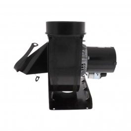 Rheem-Ruud SP11608 Vent Motor Assembly- 75 Gallon PV
