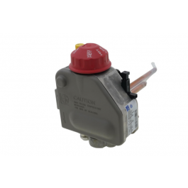 Rheem-Ruud SP20304D LP Gas Control Thermostat