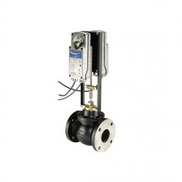 Johnson Controls VG2231TM+94NGGA 2-1/2" 2-Way Flanged Globe Valve 51Cv SPRG