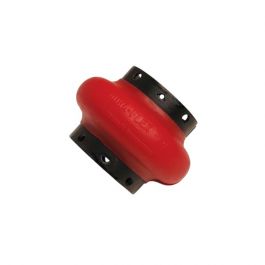 TB Woods WE10 Dura-Flex Standard Coupling Element