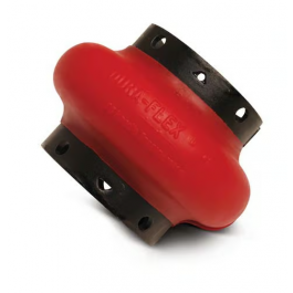 TB Woods WE20 Dura-Flex STD Coupling Element